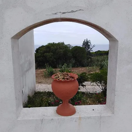 Alto Da